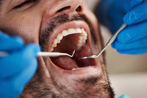 Professional Holistic Dental Care Services in Atkinson, IL